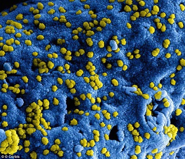 Nieuwe maatregelen #coronavirus. Bekijk hier wat dit betekent voor de dienstverlening van de gemeente Albrandswaard: albrandswaard.nl/coronavirus