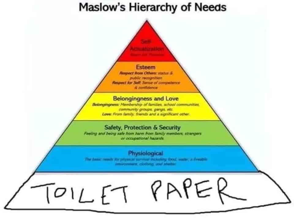 Kate_1063's tweet photo. Ahh OK... Now it all makes sense. #toiletpapercrisis https://t.co/aae0utjzJX