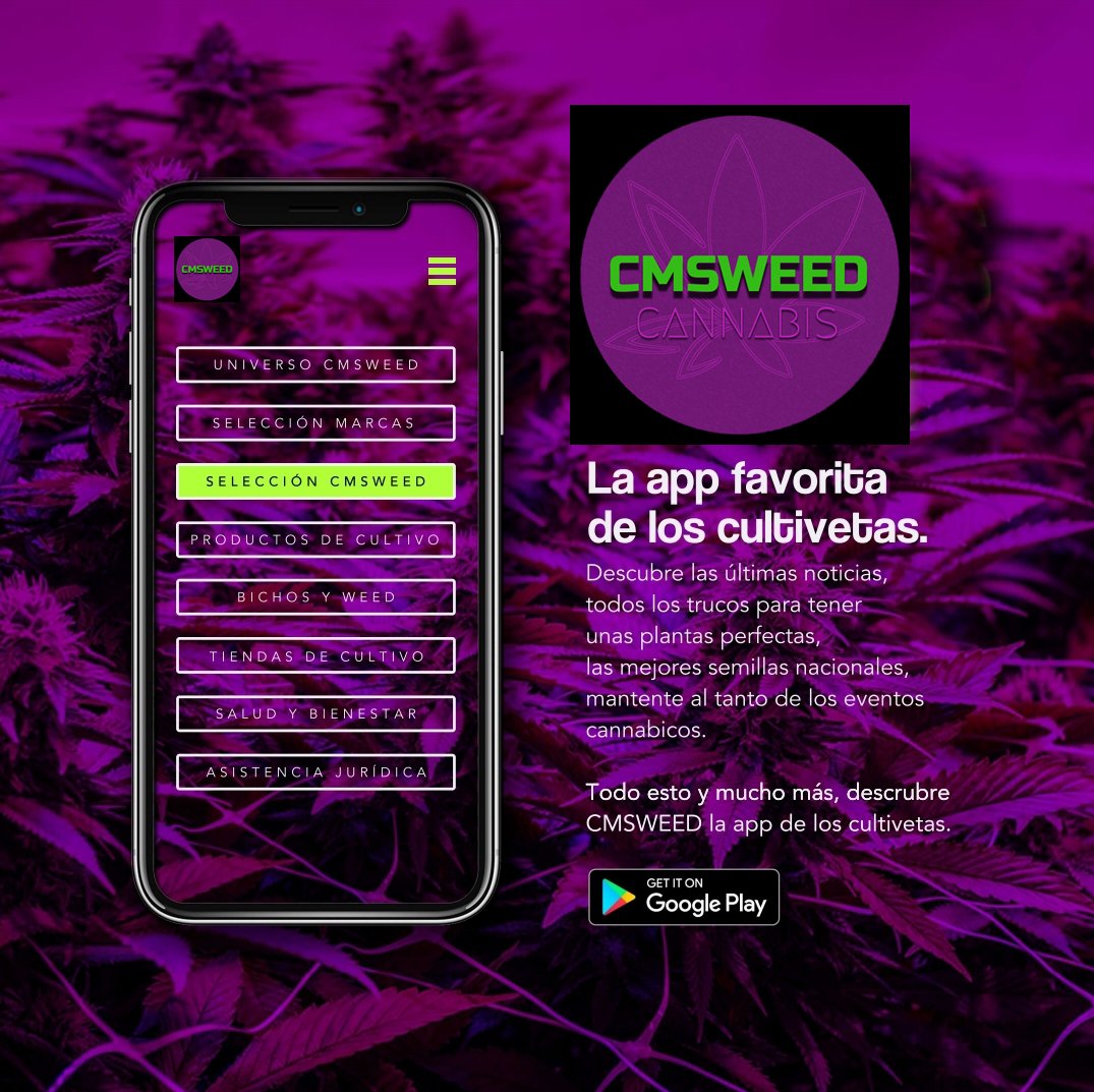cmsweed's tweet photo. Todo lo que necesitan tus #plantas de #cannabis para estas dos semanas en la App CMSWEED.
Ante el cierre de #growshop en españa, somos la mejor alternativa. 😉👍
Descargala Gratis desde nuestro perfil.📲😷
#aplicaciones #tecnología #spannabis #appcmsweed #android #Covid_19 https://t.co/sAYsnRbYky
