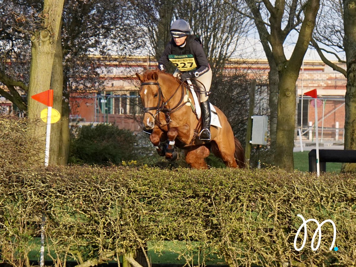 Super run for Marchwood and <a href="/PiggyMarch/">Piggy March</a> at Lincoln today: dressage leader on 25.8, clear jumping and steady clear cross country as only running HC. Ready to roll!🦄👌🤞