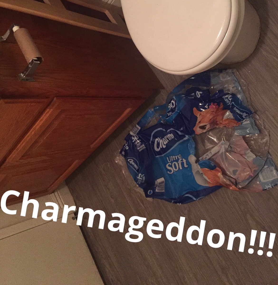 michaelmuhney's tweet image. #Coronapocalypse 
#Charmageddon