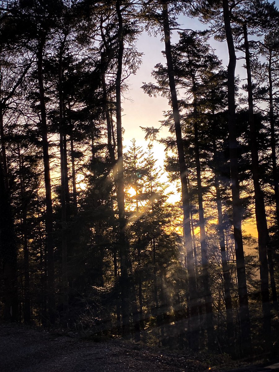 LucileClosset's tweet photo. Nature peinture #photography #friday https://t.co/ZHdic8A8jD