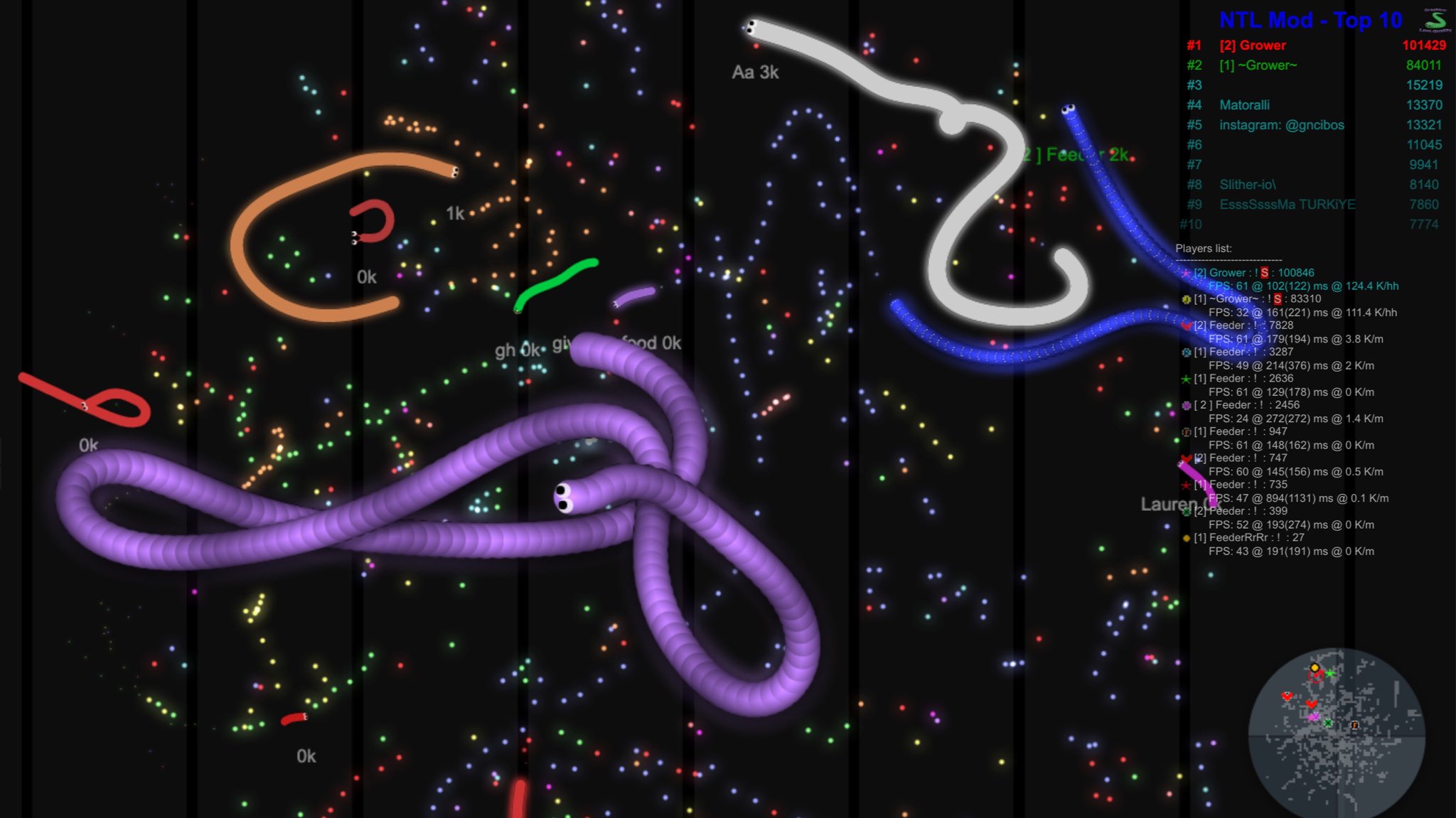 NTL MOD for Slither.io