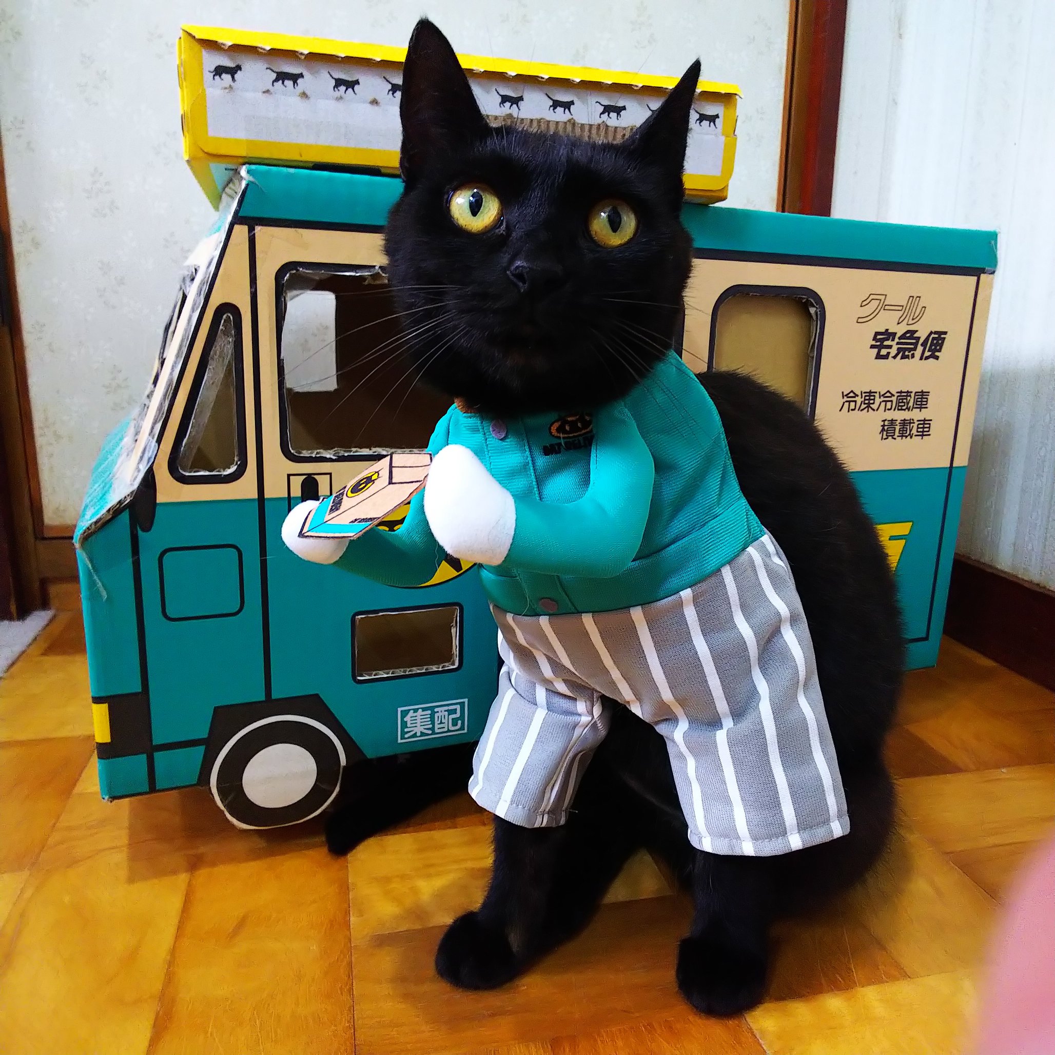 Terurin クロネコヤマトの配達員 再配達ばかりで猫の手も借りたい クロネコ二ャマト クロネコヤマト クロネコヤマトの宅急便 クロネコヤマトの段ボール 猫画像 ニャンスタグラム コスプレ 可愛い 猫モフー 猫好きさんとつながりたい 猫部