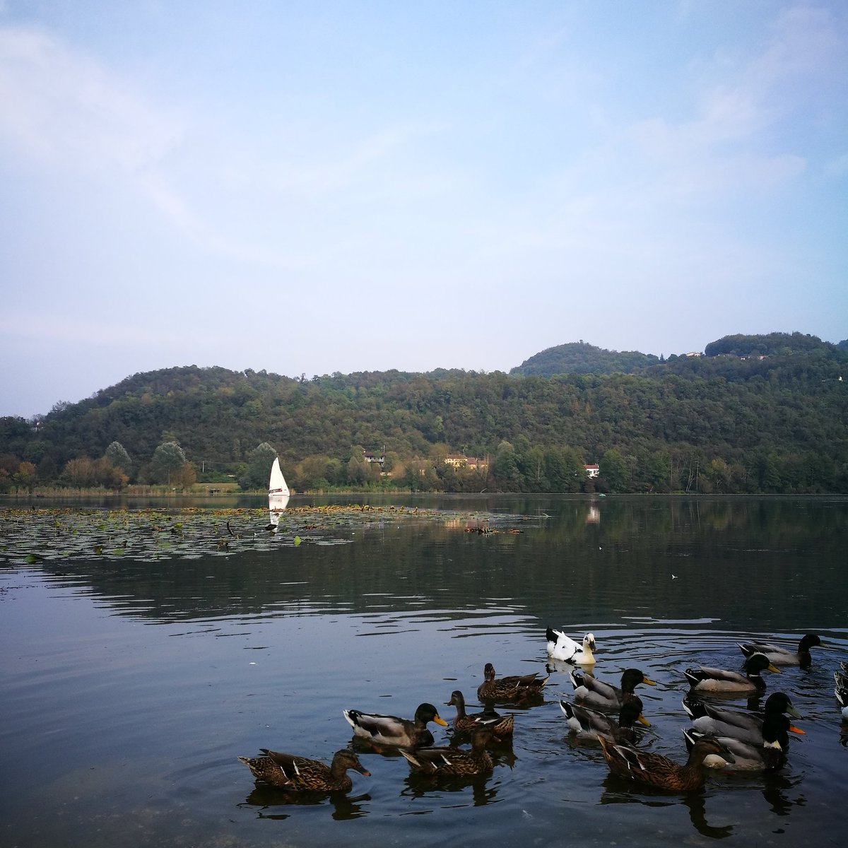 ✨ La pacatezza del Lago di Fimon 💦 ... Quando i ricordi regalano belle sensazioni in queste #stranegiornate.
.
.
#lagodifimon #colliberici #vicenza #veneto #veneto360   #iorestoacasa #coronavirustisconfiggeremo 
#coronavirus #memories