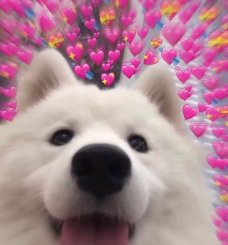 | Pero no te lo dije molesta ni nada, bobi. No te preocupes.

Métete todo lo que quieras.