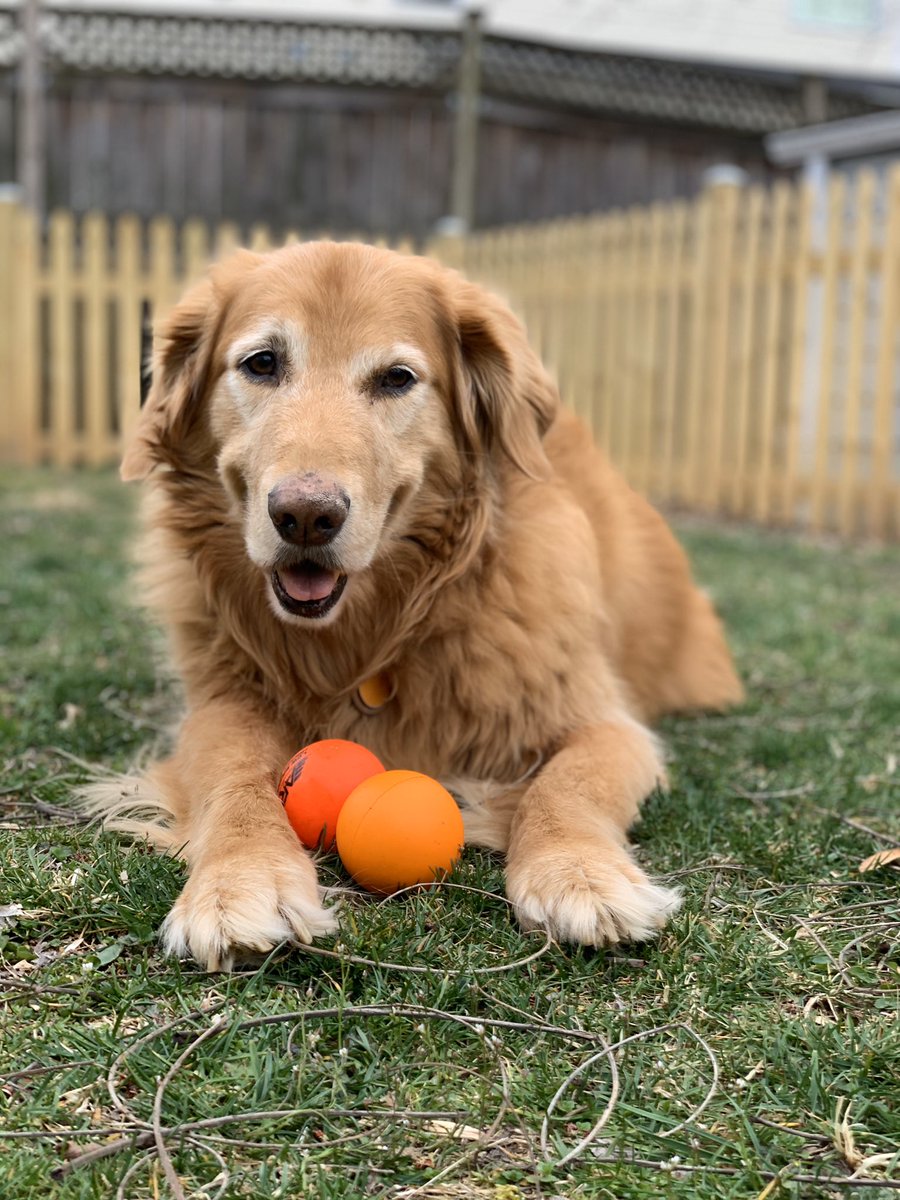 OvitheGolden's tweet photo. Friday vibes 😎 Stay healthy pals! https://t.co/zmt0ScwbQI
