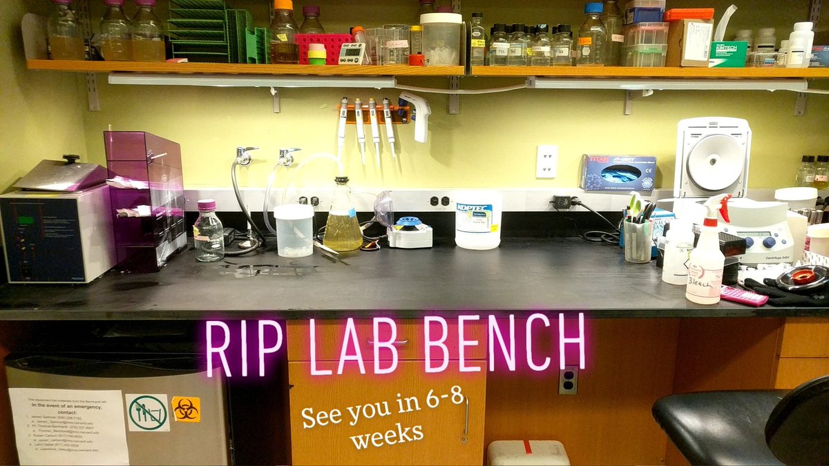 Amelia McKitterick (@ameliamckitt) on Twitter photo 