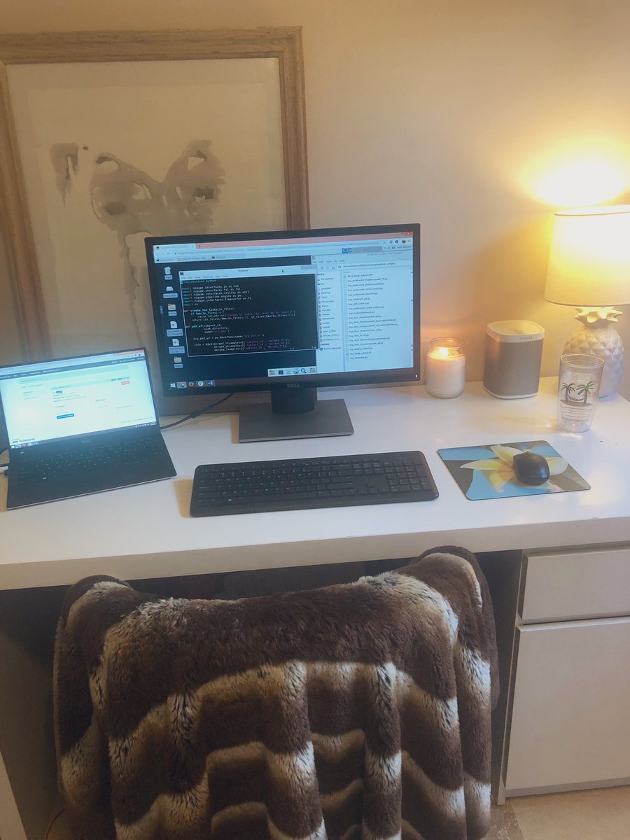 Took some time to clean and clear my work space at home to keep the productivity going! No distractions. Planned some work meetups with friends in the program to avoid procrastination, and scheduled my dissertation proposal over zoom! So far so good.
