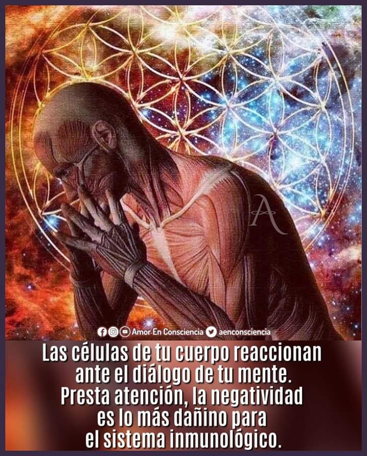 fherreralee's tweet photo. Si no esta en tu mente ,no esta en tu vida. https://t.co/2DfdCXJAg4