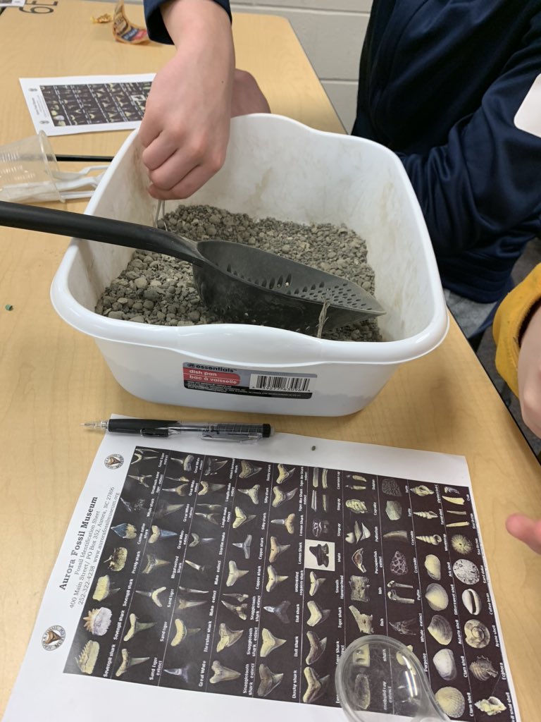 Melissa Foster tweet media