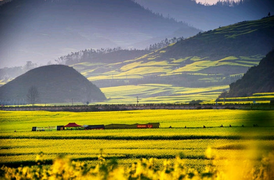simontourcom's tweet image. Luoping is a multi-ethnic area which is inhabited by Yi, Zhuang, Miao, Hui, Yao, Buyi and Shui people in Yunnan Province. Numerous tourists are attracted to Luoping by the beautiful rapeseed flower fields, spectacular Jiulong waterfall groups, and rural scenery of Duoyi River.