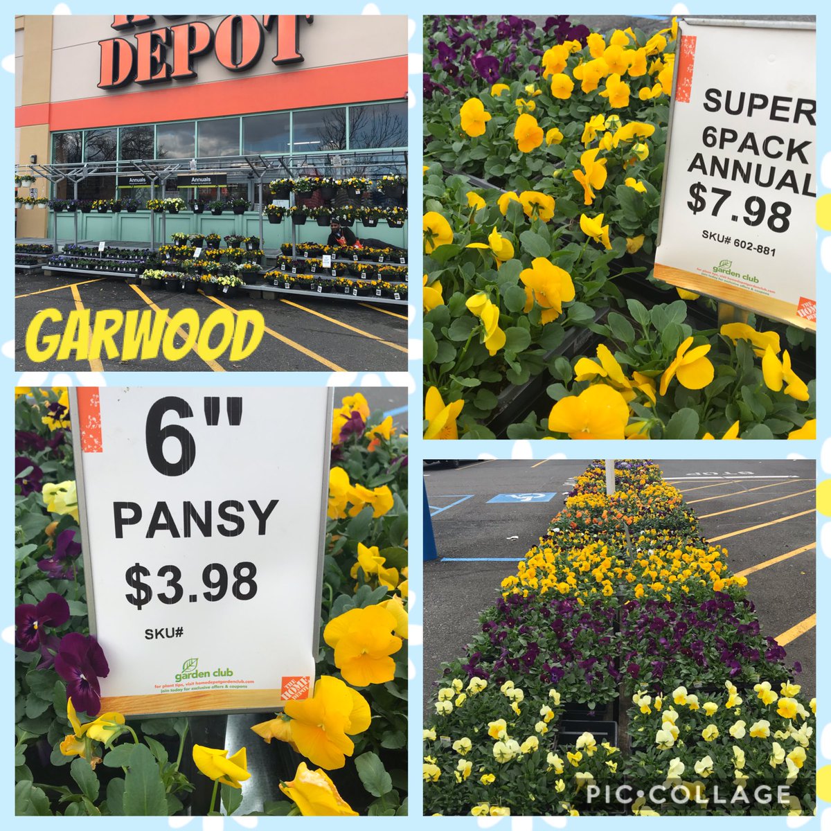 Dani_HD(Bobcat^.^) tweet media