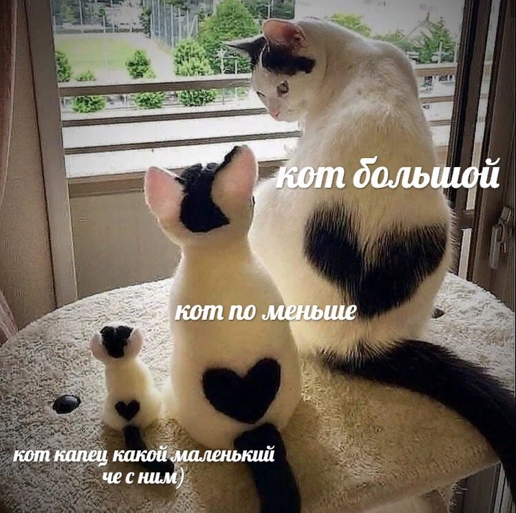 ETBbBvRXYAAFaSQ?format=jpg&name=900x900