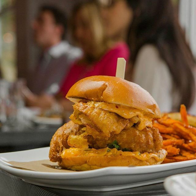 Eatin_ct's tweet photo. Friday - what a week it has been. Anyone else feeling exhausted?! How to bounce back? Eat whatever looks good! GO and get yourself some grub. ➡️ @spottedhorseshelton https://t.co/esLeoxXDdw https://t.co/IncC67wTJ2