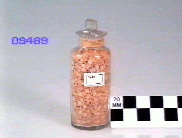 athscicafe's tweet image. Context matters! #AthensScienceObserver writer Tara Conway explores the importance of culture in agriculture.
#FoodSecurity #SciComm #biodiversity #cropbreeding athensscienceobserver.com/2020/03/13/sav…