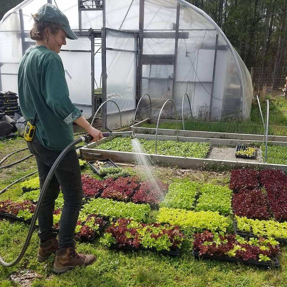 Broadfork Farm (Broadfork_Farm) Twitter Tweets • TwiCopy