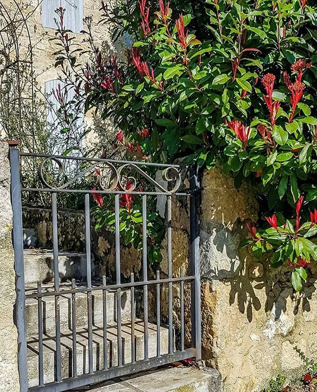Igers_auch's tweet photo. vous présente son coup de 💚 du jour, le Gers  va se mettre en veille comme la France entière pendant quelques jours 📸 : @doreithyia  merci pour cette photo ! N’hésitez pas à continuez de partager vos photos coups de cœur avec nos hashtags. Petite trê… https://t.co/o398S0bL8N https://t.co/9A8W6nLEKA