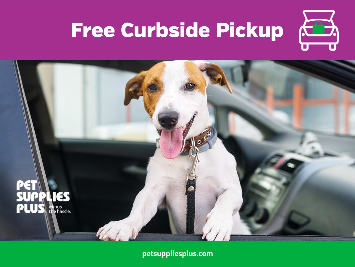 nearest pet supplies plus