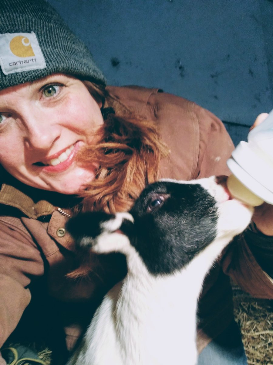 RedBarnLearning's tweet photo. No time to worry about a pandemic  🐑🍼
#coronavirus2020
#deadbeatsheepmom
#babylamb https://t.co/ZZmU2rQDAc