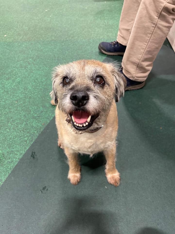 HenryBorderT's tweet image. 