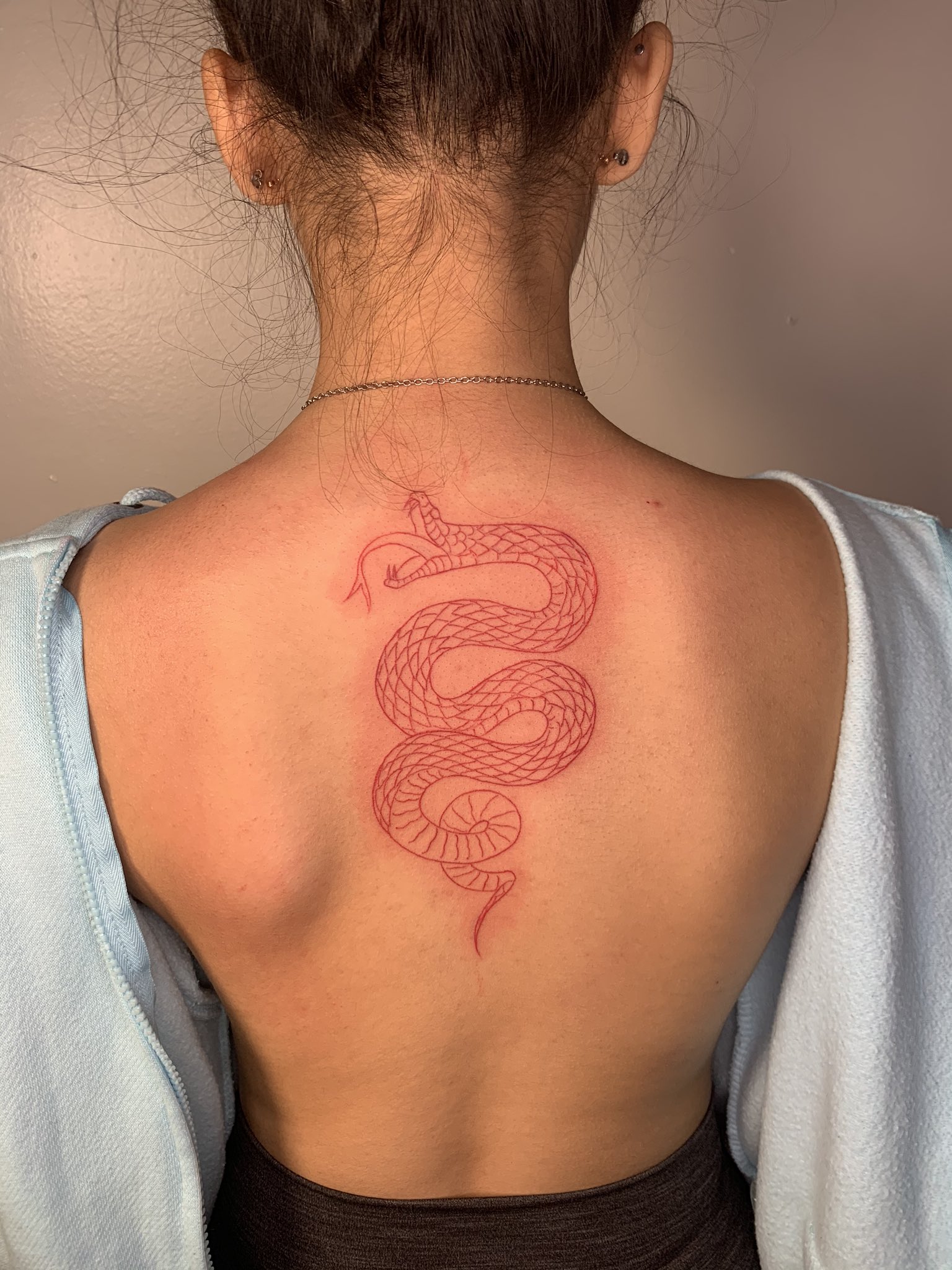 Fine line snake tattoo on the upper back.