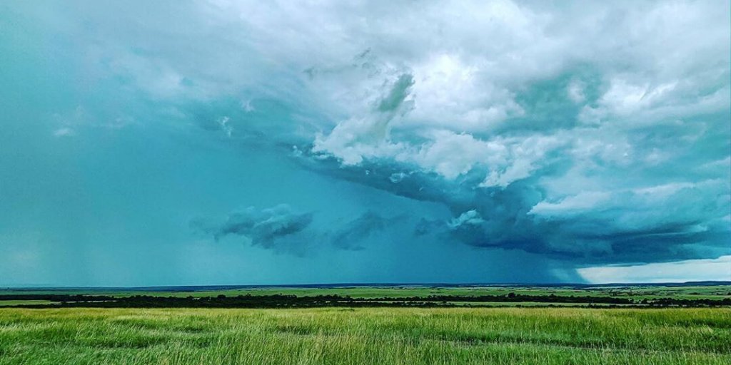 GreatGuides tweet media