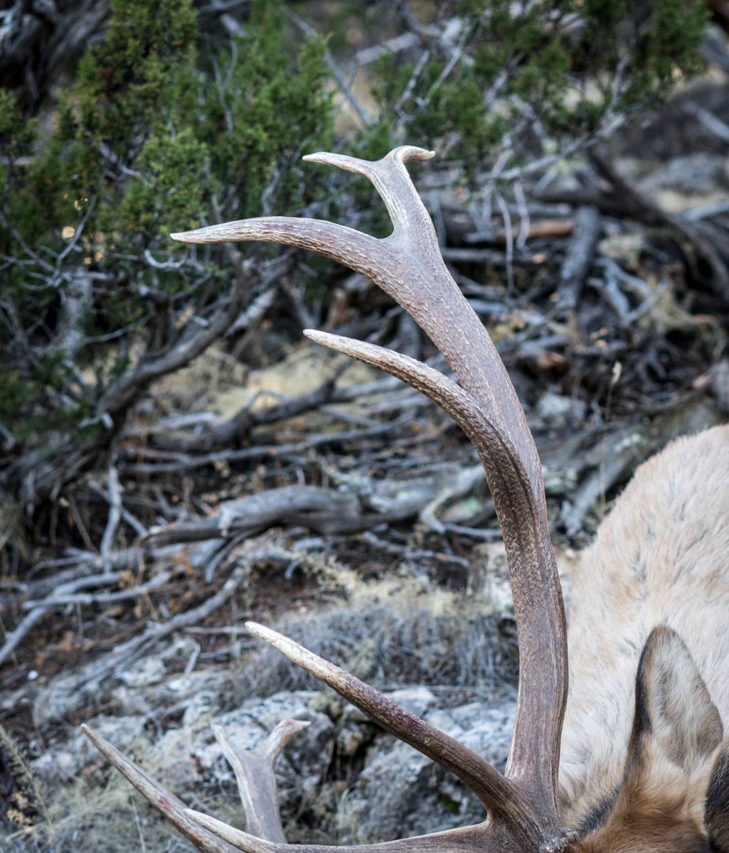 huntavid's tweet image. 