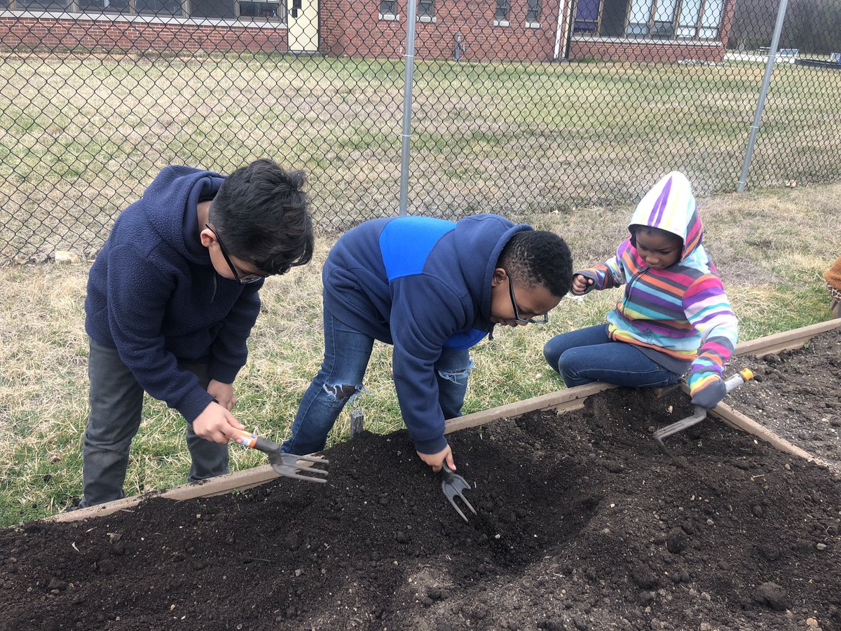 MsMLacombe's tweet photo. Second grade loves preparing the garden for planting. #cddolphins https://t.co/g70YBBC8jR