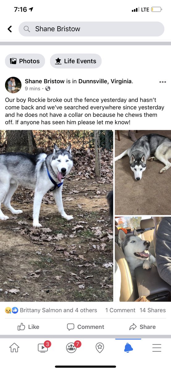 BSalmonn's tweet photo. PLEASE retweet to bring my puppers home safe https://t.co/hJfZu8KSNe