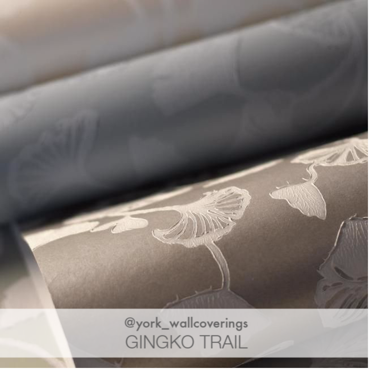 candiceolson_'s tweet photo. Wallcovering designed to make a subtle statement using low contrast hues and pared-down, nature-inspired motifs. @YorkWall GINGKO TRAILS 

#candiceolson #yorkwall #yorkwallcoverings #wallpaper #wallpaperdecor #designwithwallpaper https://t.co/YGJO1OckwP