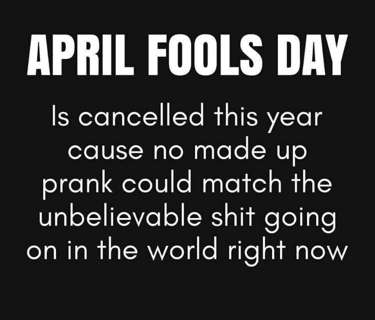 dogoscar (@dogoscar) on Twitter photo 