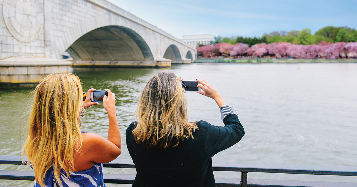 Odyssey Cruises by Hornblower tweet media