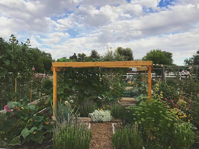 The Community Garden is soaking up all this rain and everything looks 😍 ift.tt/2U7QrB1