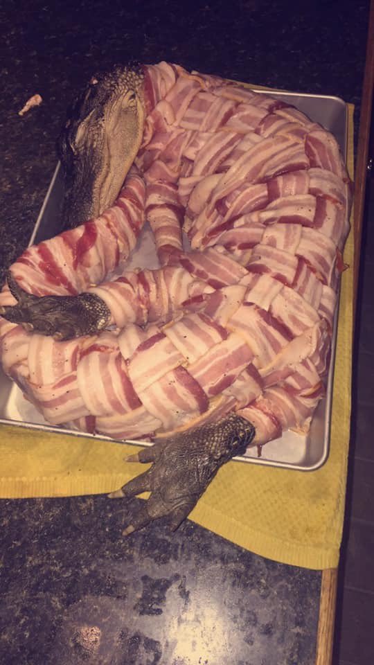 _zaydevon's tweet photo. Nigga wrapped the gator in bacon like it was givenchy https://t.co/AqsvGJbFvc