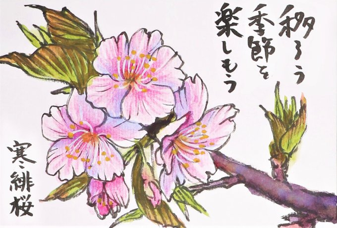 葉桜のtwitterイラスト検索結果 古い順