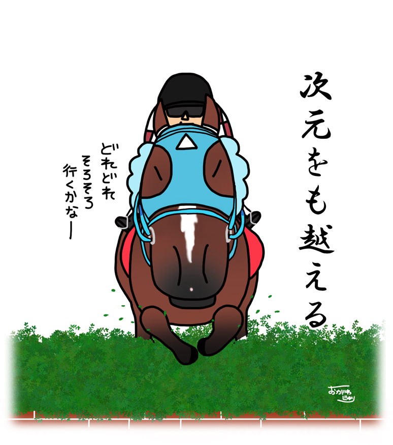王者を譲る気がまったくなかった
オジュウチョウサン。
強すぎるだろう。。。。。 