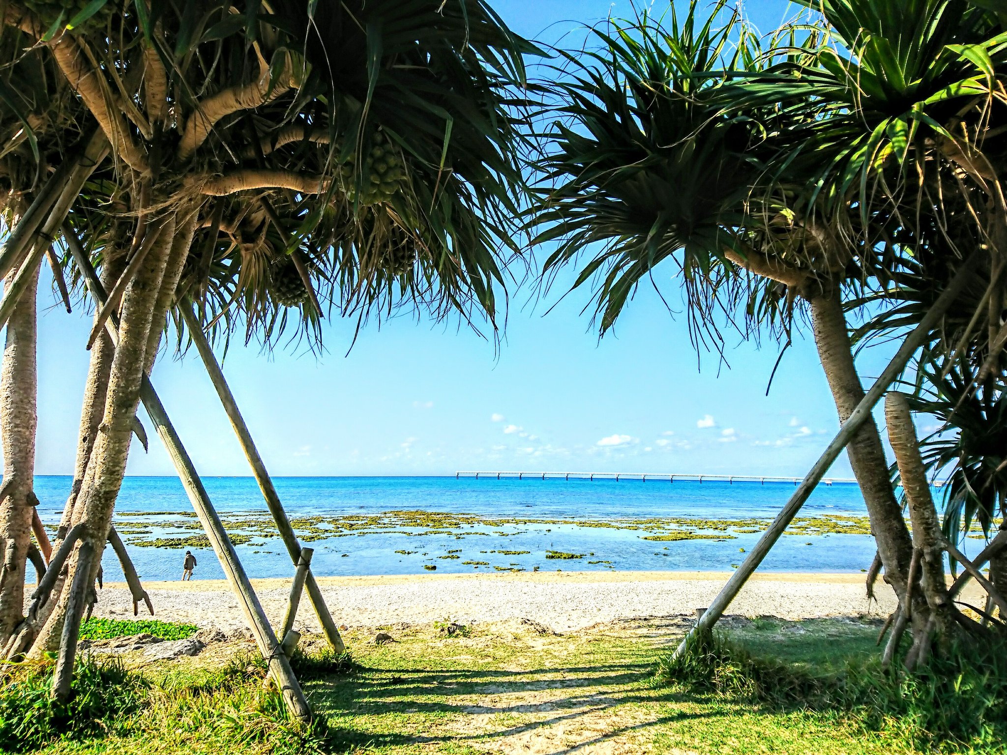 沖縄特産品南国市場 アクアグリーン沖縄 沖縄風景 瀬長島 沖縄 沖縄旅行 めんそーれー 海 景色 風景写真 青空 雲がある風景 空のある風景 写真 カメラ T Co I2jx3w2pwq Twitter