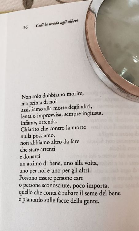 DanielaColange4's tweet image. Franco Arminio, Cedi la strada agli alberi

#PoesiePerLaSera #VentagliDiParole