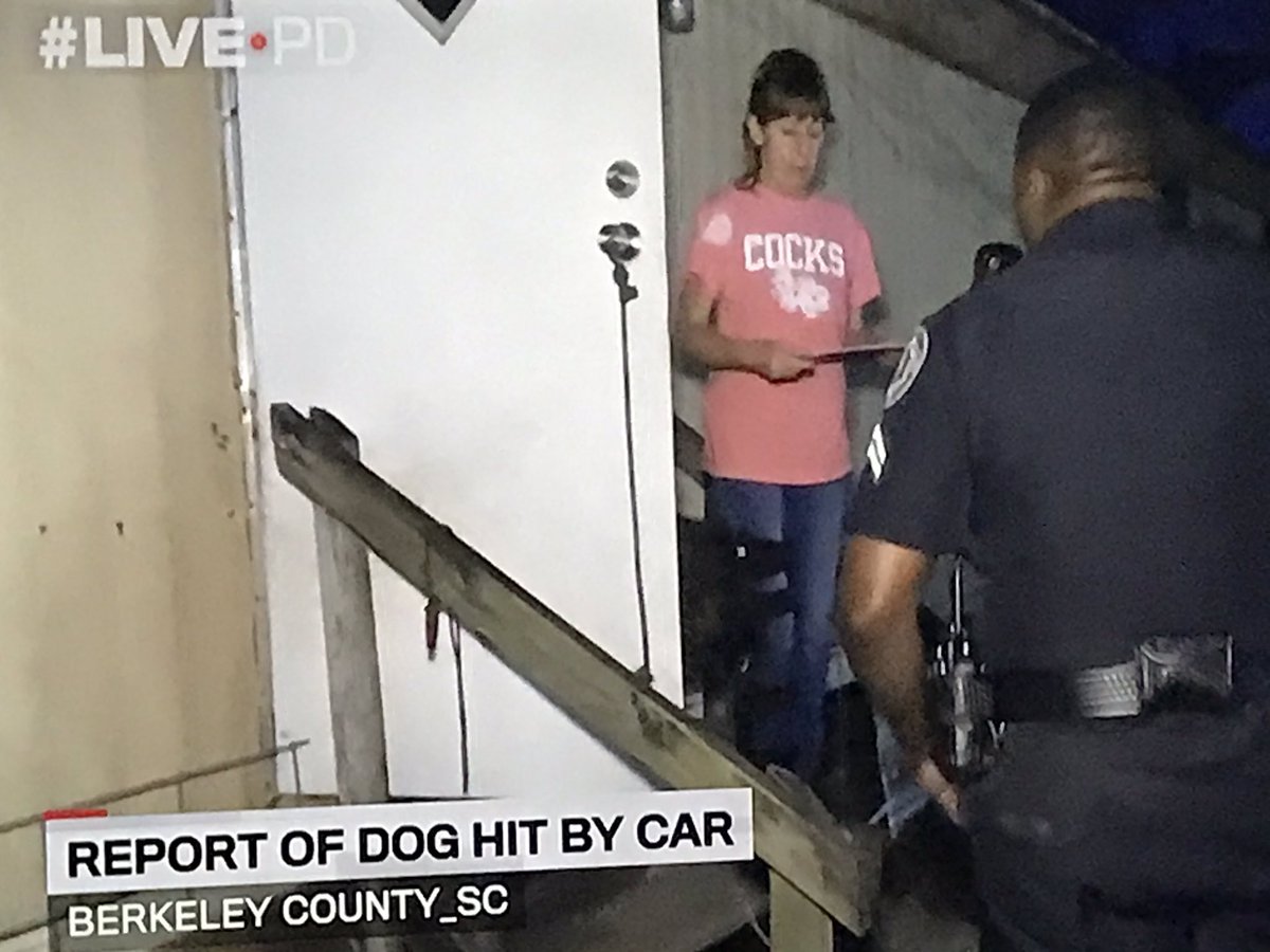 Justine Paul tweet media