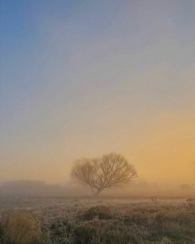 The world is feeling foggy right and overwhelming right now as things changing rapidly. In light of the Coronavirus pandemic, it’s time for us to activate this community to help our community.
.
.
If your business or organization is offering help or reso… bit.ly/2WbSGpS