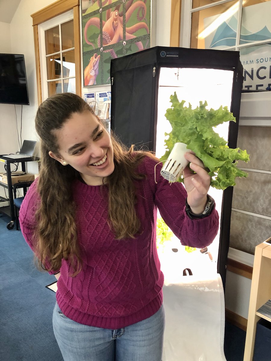 PWSSC's tweet photo. Our staff recently harvested the first batch of lettuce from the new hydroponics unit in our atrium! ๐ฑ
#PWSSC #WorldsRichestWaters #CordovaAlaska #PrinceWilliamSound https://t.co/2JcZOsZUTL
