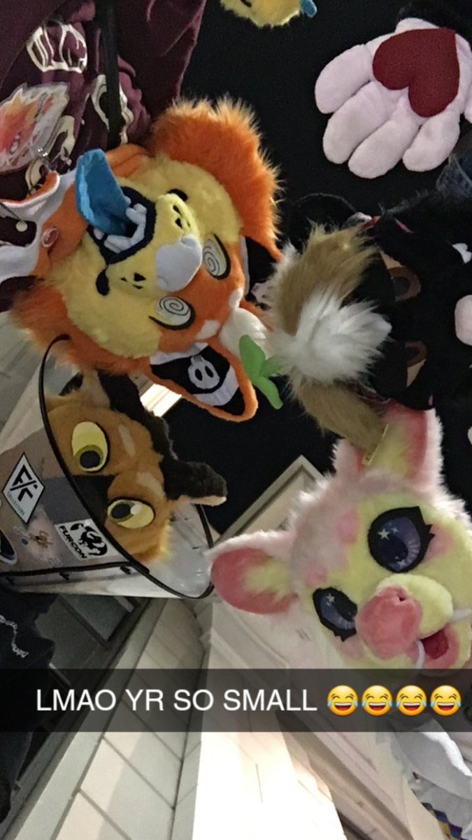 plushgut's tweet photo. Too lazy to put on Spookky today so please enjoy this pic from last week! #FursuitFriday https://t.co/OGD3wtxy9L