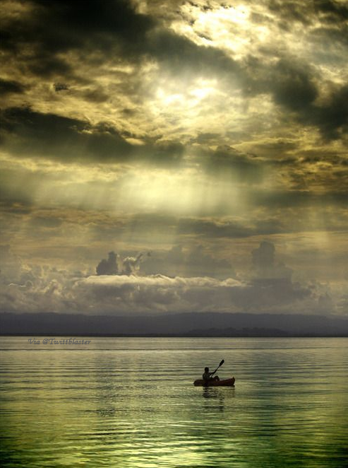 Twittblaster's tweet photo. I don't understand it
any more than you do,
but one thing I've learned
is that you don't have to
understand things for
them to be.
~ Madeleine L'Engle
#Twittblaster #TwittblasterFlowers #Sunrise #Rays #Acknowledge #Acceptance #Understanding #LetThingsBe #Relax #Whatever #SoBeIt https://t.co/CUPmGoQY0V
