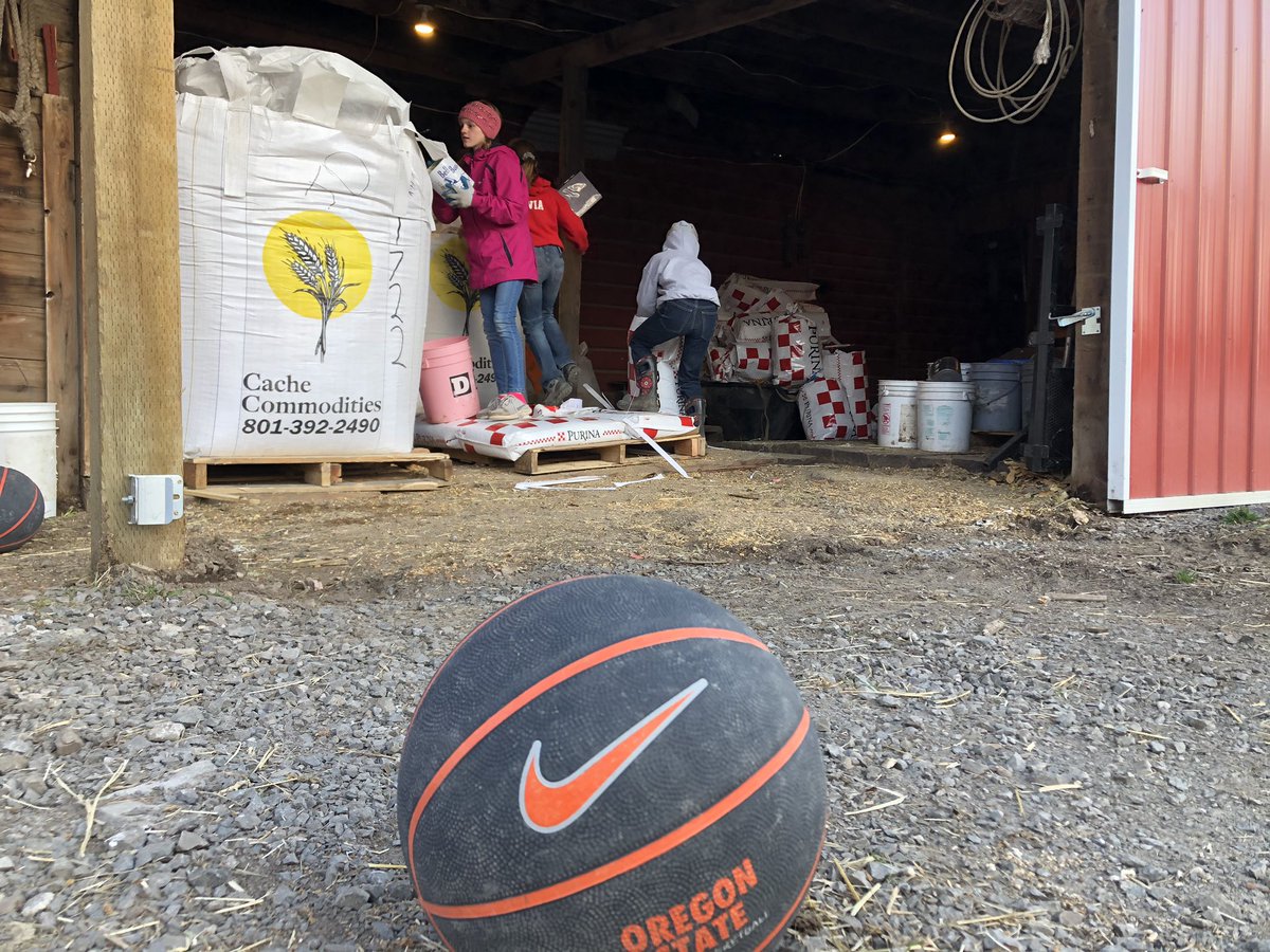haddockj22's tweet photo. Only put our basketballs down when it’s time to do chores. See you June for camp! @BeaverWBB https://t.co/wt9a0qqQbH