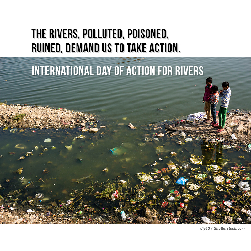 Nature only protects, if it is protected. With its resources being exploited rigorously, we may someday run out of the ones that sustain life. The rivers, polluted, poisoned and ruined, demand us to take action.
#InternationalDayofActionforRiver #RiverPollution #River #Toxic