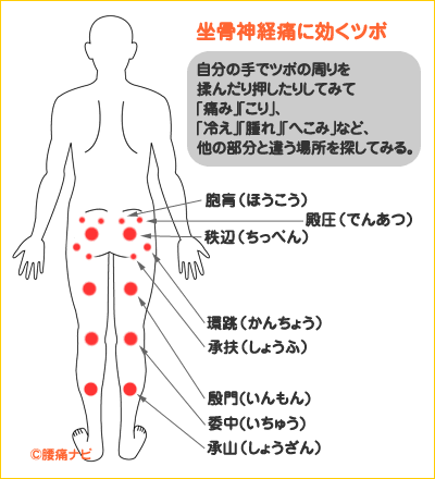 Twitter 上的 茯苓太郎 この冬越せる自信がない 冬と喧嘩しても負けるのでもう何もせん Sachy111aries 口で説明するのが難しいので 写真のように椅子と太股裏の間に挟み込むです 写真はテニスボールですがゴルフボールでも可 私はツボで言うと承扶 しょうふ 辺り