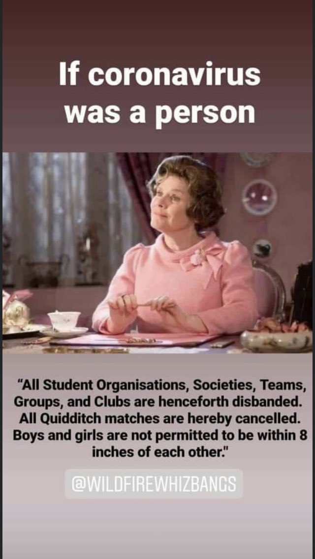 MmeLile's tweet photo. We need the elder wand. https://t.co/ZVkM3cxqCB