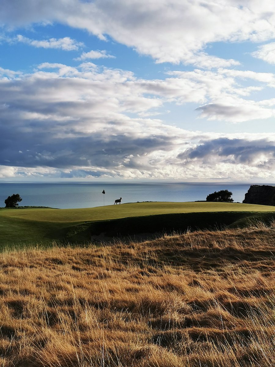ConduinO's tweet photo. The chapter comes to an end here @CapeKidnappers until next time sheep. #gettingoutofdodge #thanksforthecheese. https://t.co/JVmcNf8J7M