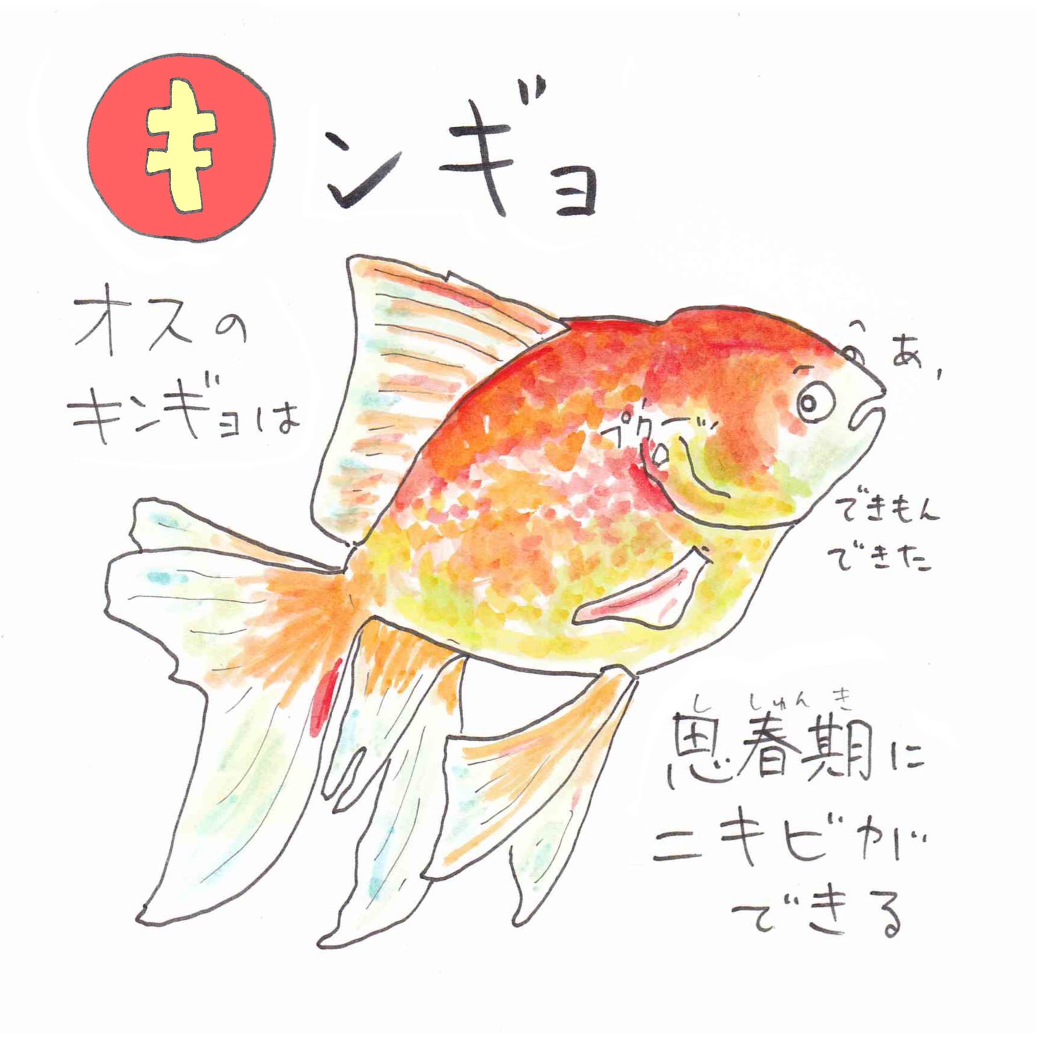 川田一輝 今週花粉すごないっ コロナも花粉も吹き飛ぶような 明日使えない魚の豆知識を叫びまーすっ 人人人人人人人人人人人人人人 オスの金魚はニキビできる Y Y Y Y Y Y Y Y Y Y Y Y Y T Co M4i9o3reoz Twitter